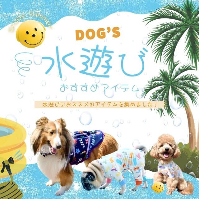 水遊びおすすめアイテム ブランドのドッグデプト/DOG DEPT